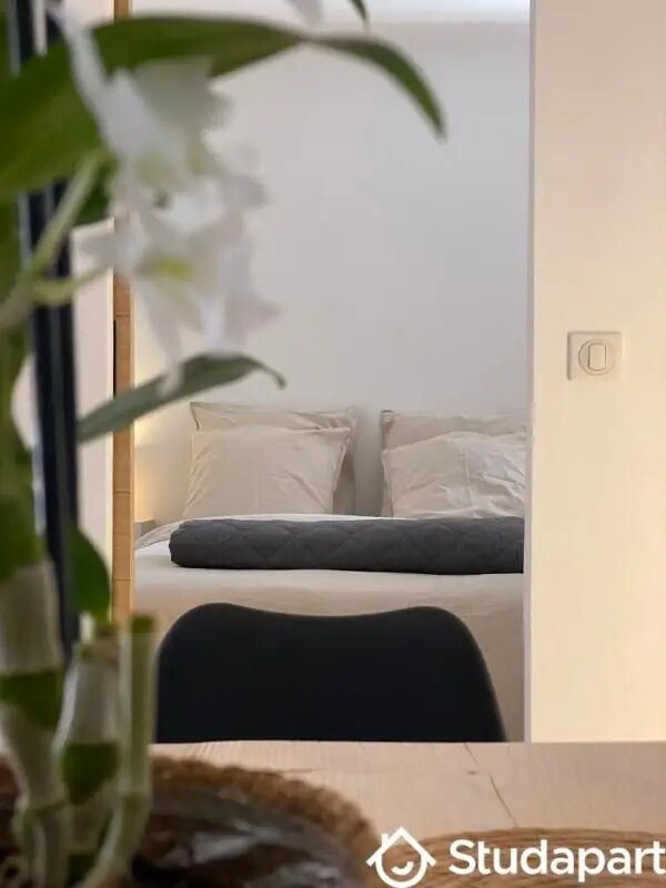 Appartement à louer, 55m², Lamanon
