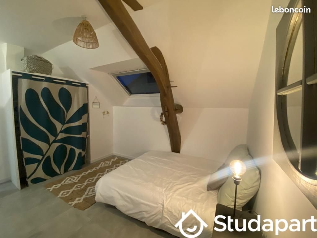 Appartement à louer, 18m², Angers