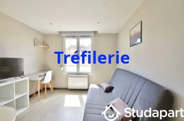 Appartement à louer, 18m², Saint-Etienne