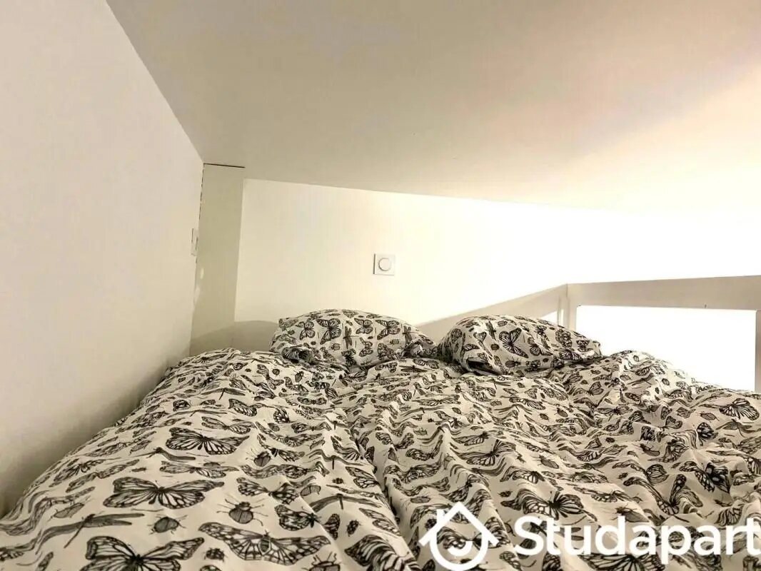 Appartement à louer, 15m², Saint-Etienne
