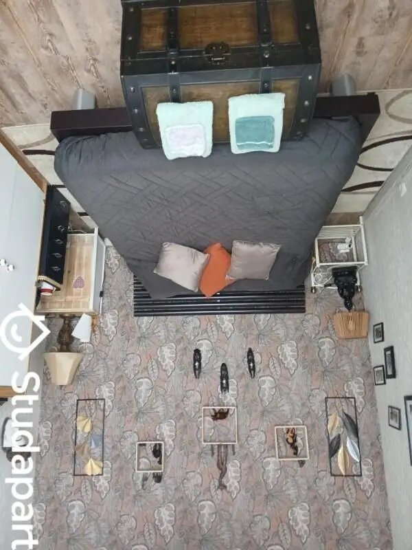Appartement à louer, 10m², Gorron