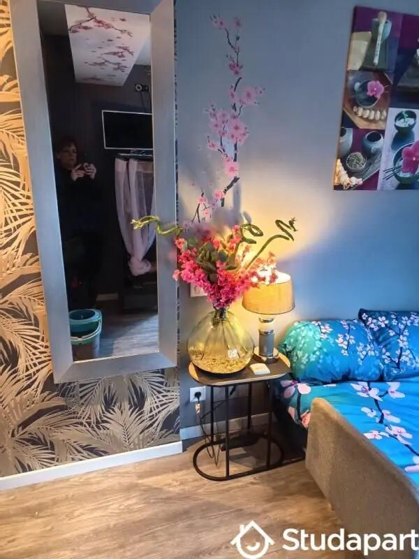 Appartement à louer, 20m², Provin