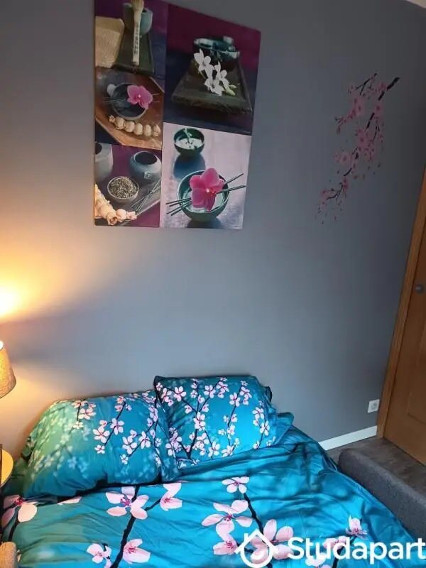 Appartement à louer, 20m², Provin