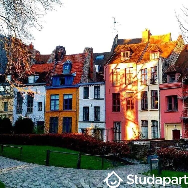 Appartement à louer, 37m², Lille