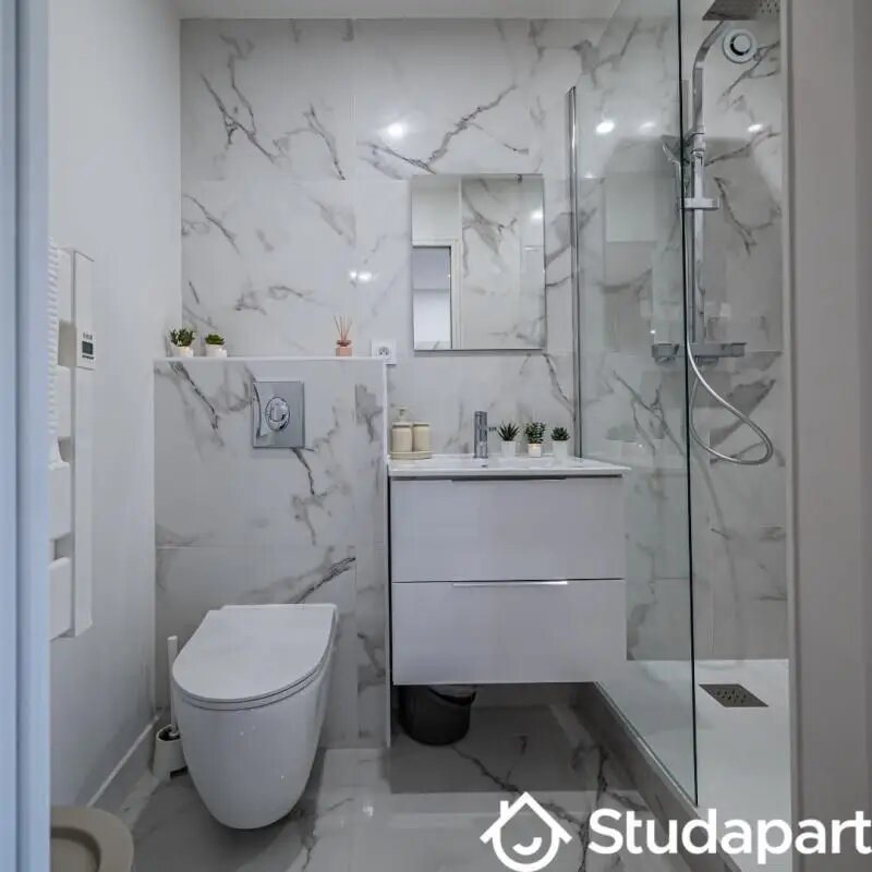 Appartement à louer, 50m², Le Mans