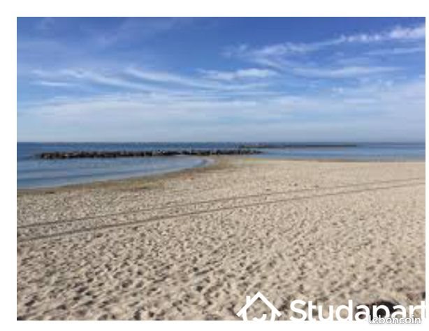 Appartement à louer, 60m², Palavas-les-Flots