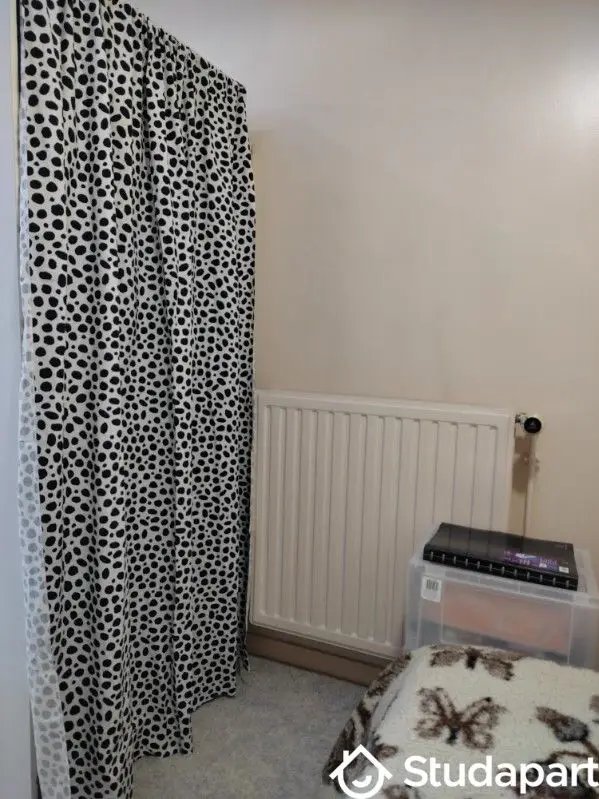 Appartement à louer, 19m², Lille