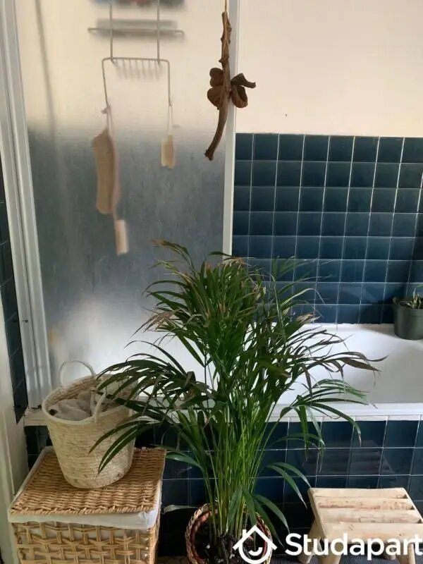 Appartement à louer, 36m², Nantes