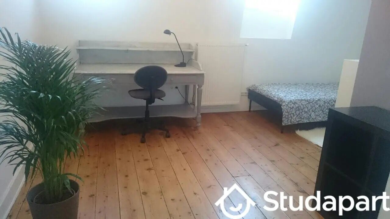Appartement à louer, 19m², Roubaix