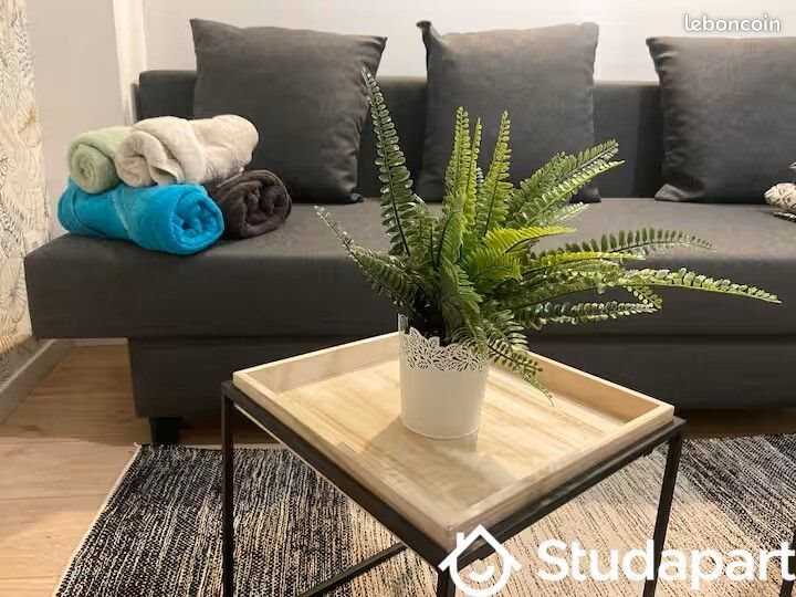 Appartement à louer, 18m², Rouen