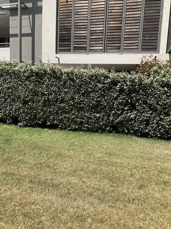 Appartement à louer, 46m², Fréjus