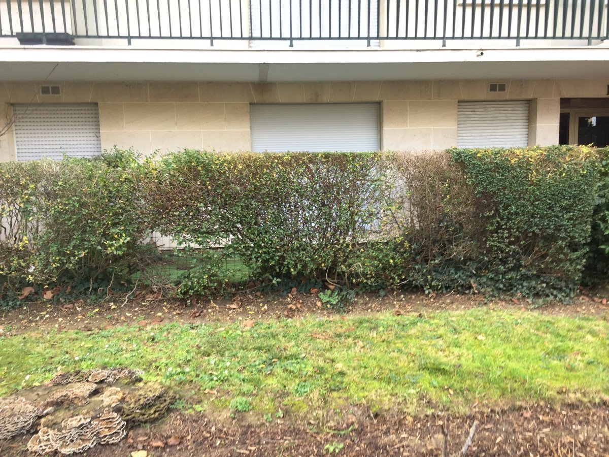 Appartement à vendre, 27m², Fontenay-aux-Roses