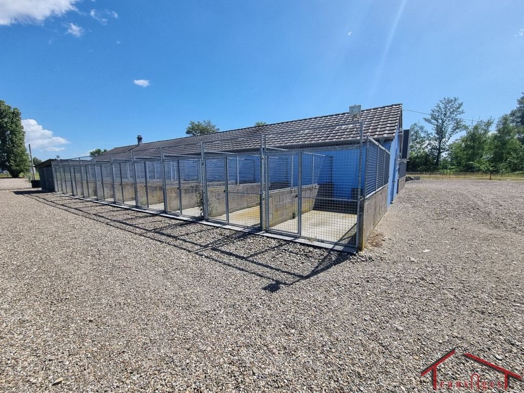Maison à vendre, 145m², Kunheim