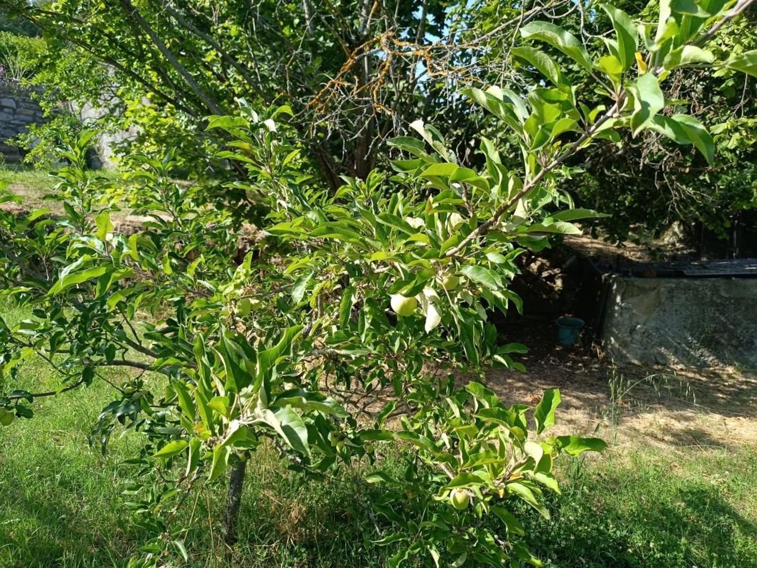 Maison à vendre, 61m², Bordezac