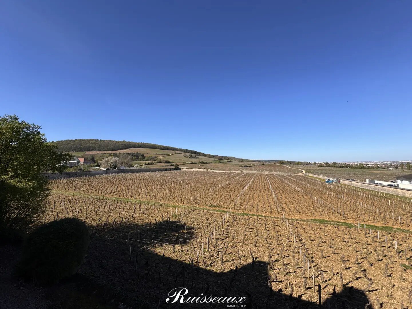 Maison à vendre, 310m², Fixin