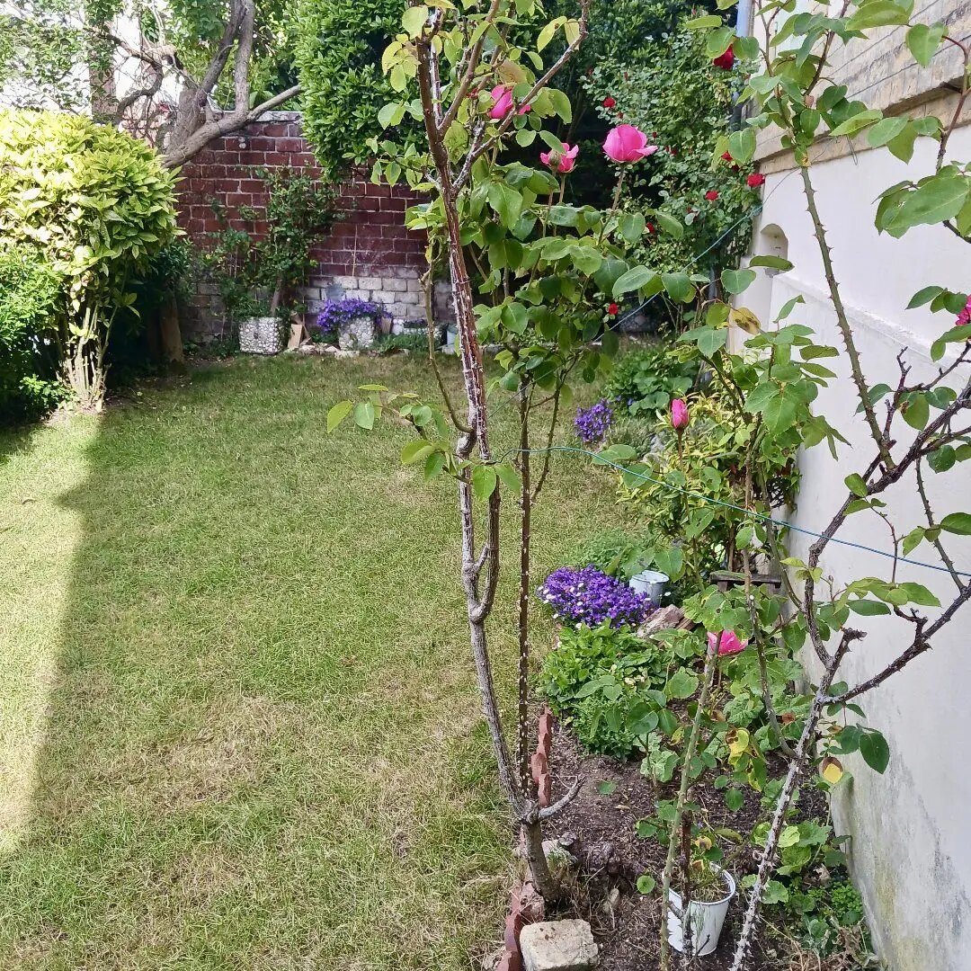 Appartement à vendre, 12m², Trouville-sur-Mer