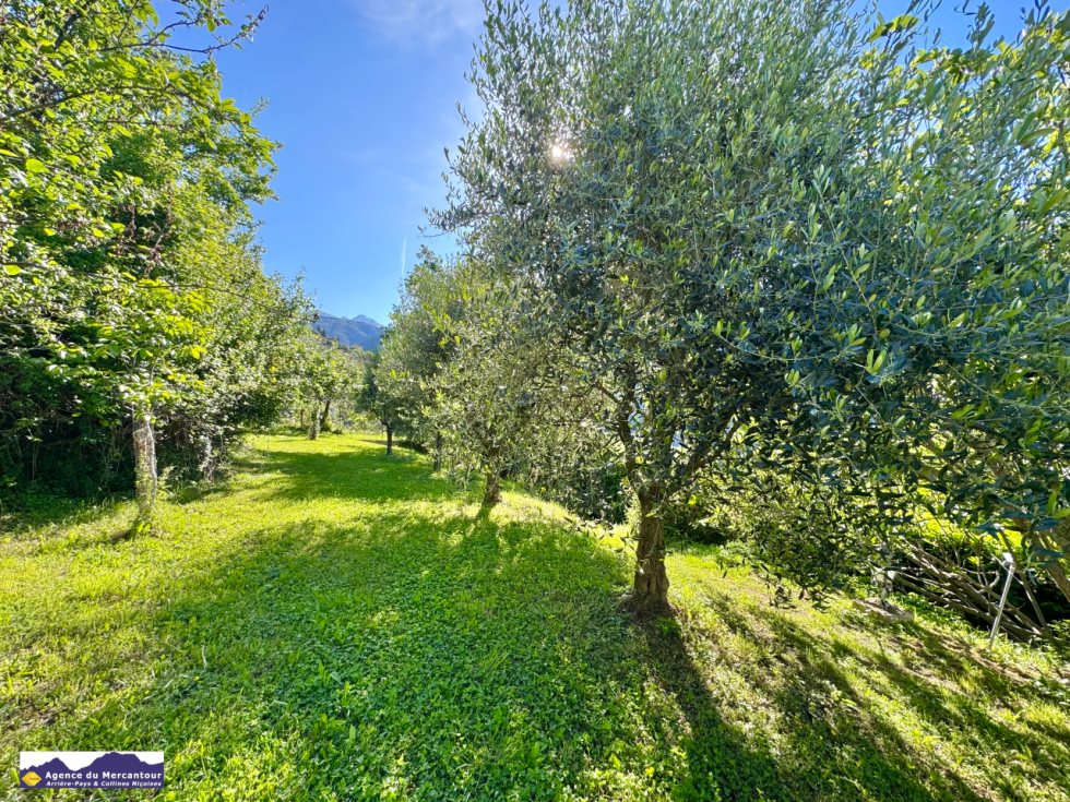 Maison à vendre, 40m², Belvédère