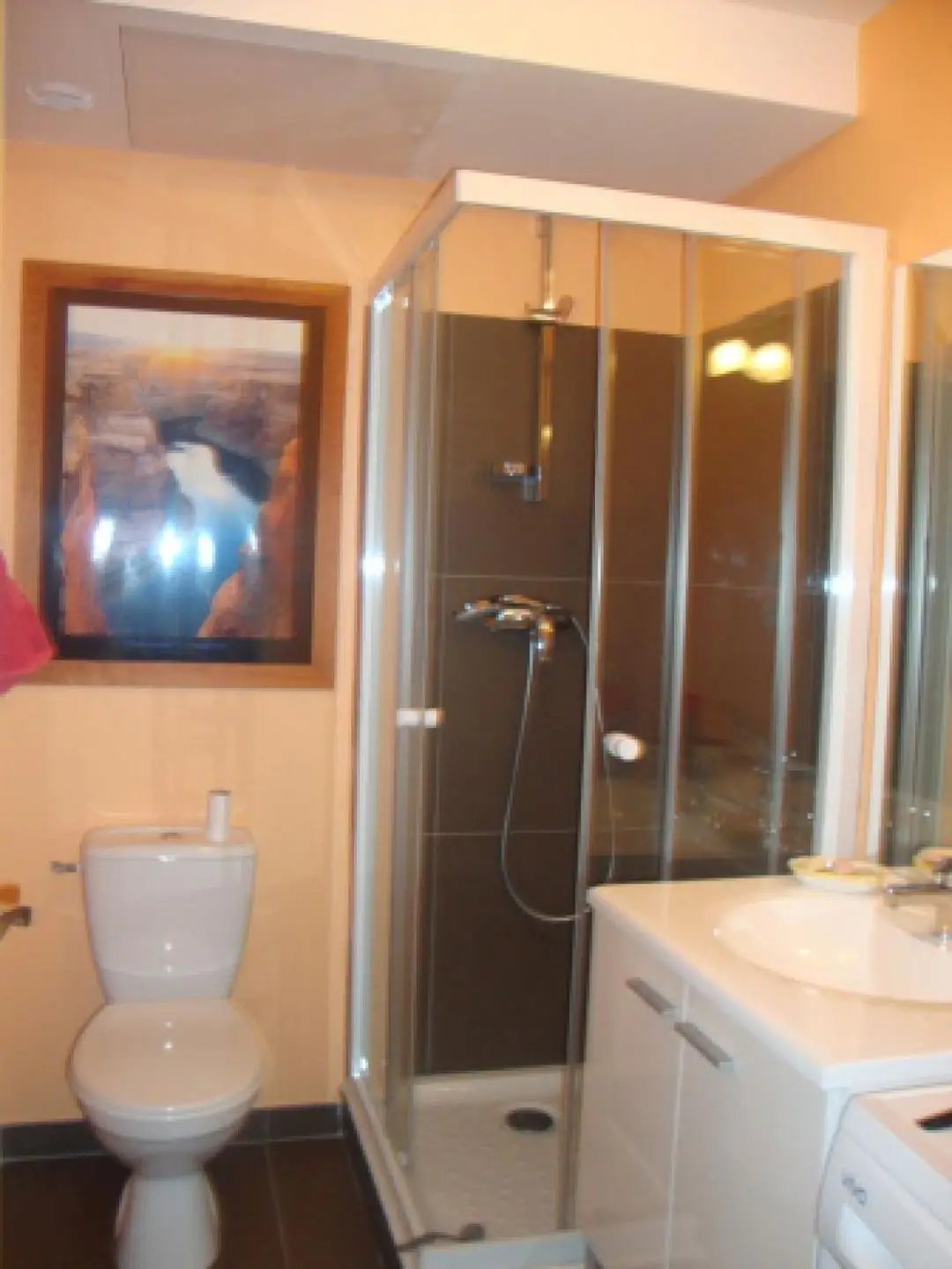 Appartement à louer, 53m², Vif