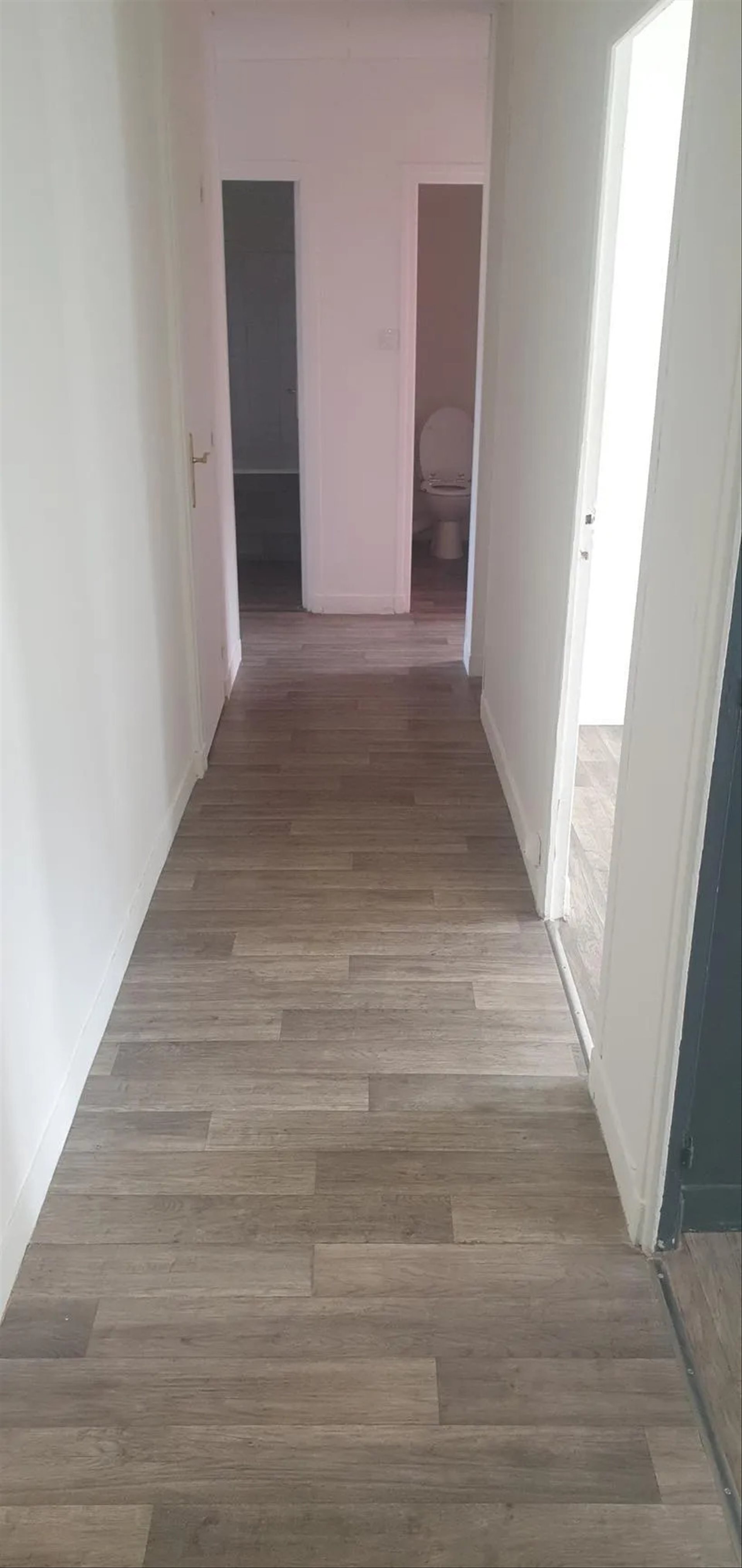 Appartement à louer, 53m², Sassenage