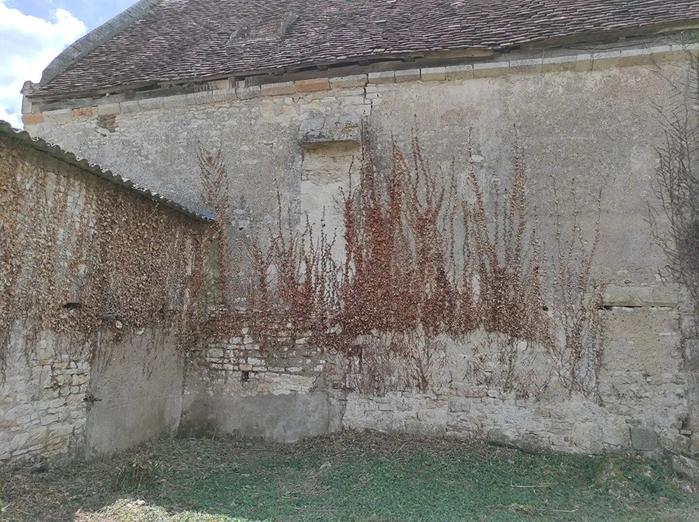Maison à vendre, 130m², Civray