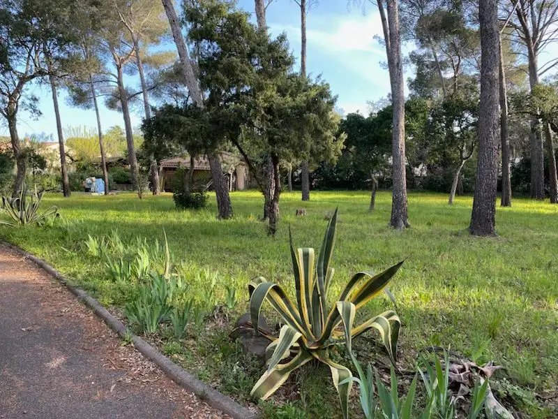 Maison à vendre, 150m², Saint-Raphaël