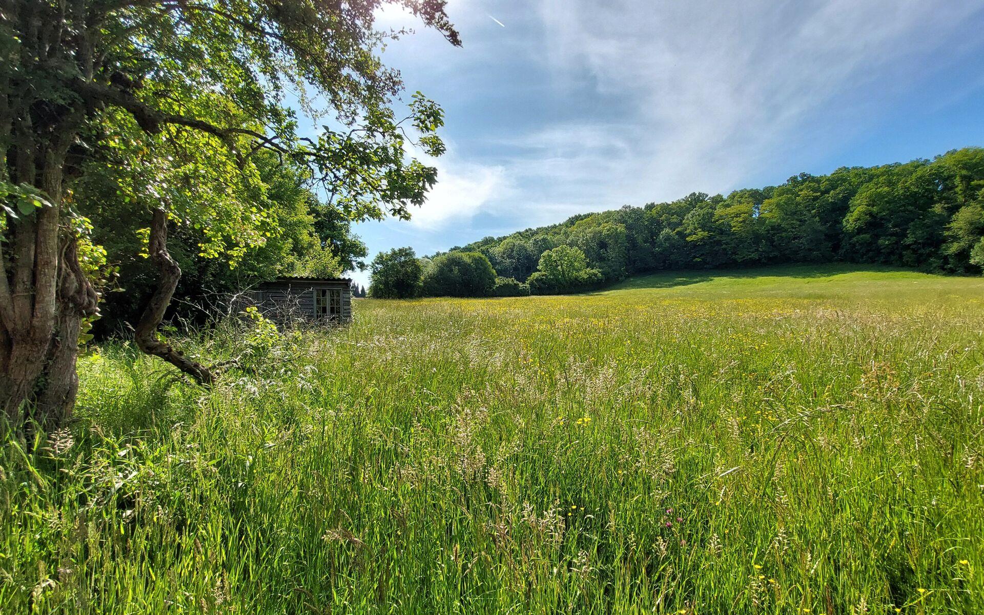 Maison à vendre, 150m², Mortagne-au-Perche