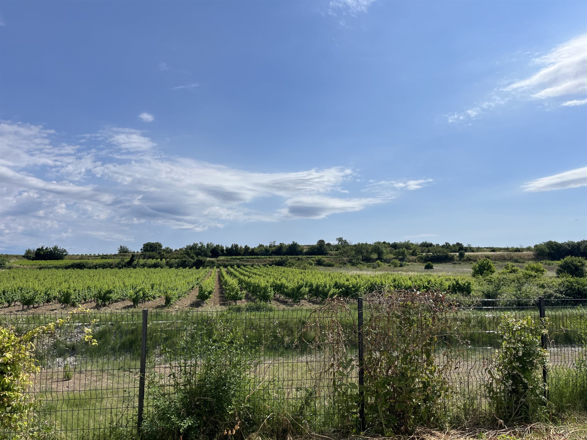 Maison à vendre, 130m², Pézenas