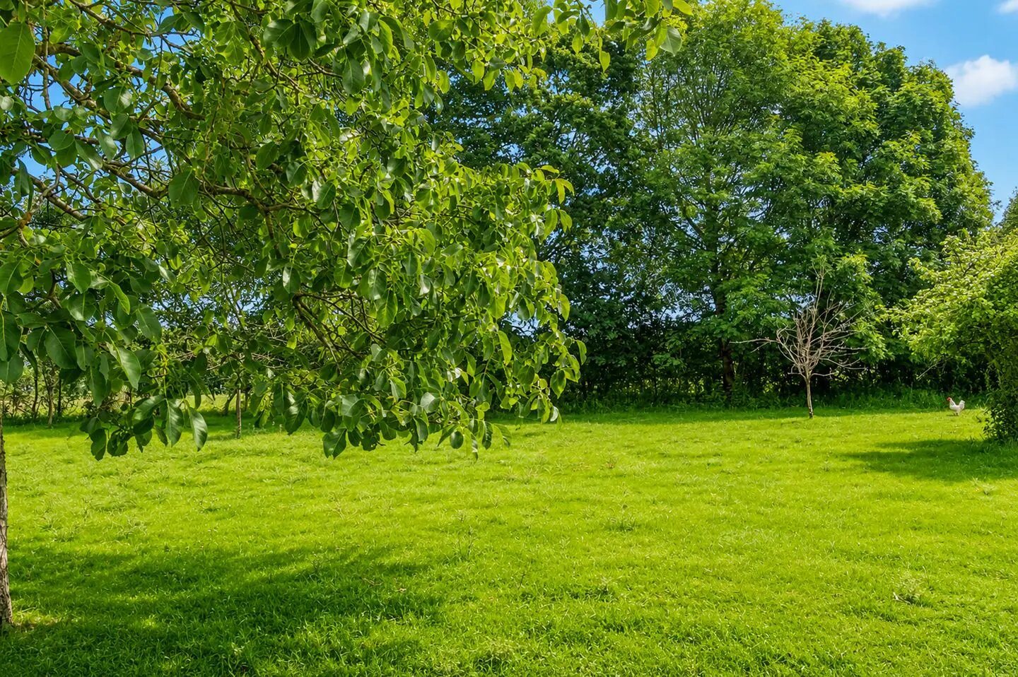 Maison à vendre, 115m², Thiron-Gardais
