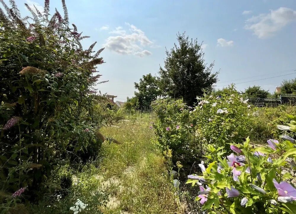 Maison à vendre, 155m², Fère-en-Tardenois