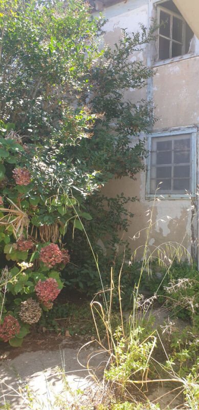 Maison à vendre, 45m², Ars-en-Ré