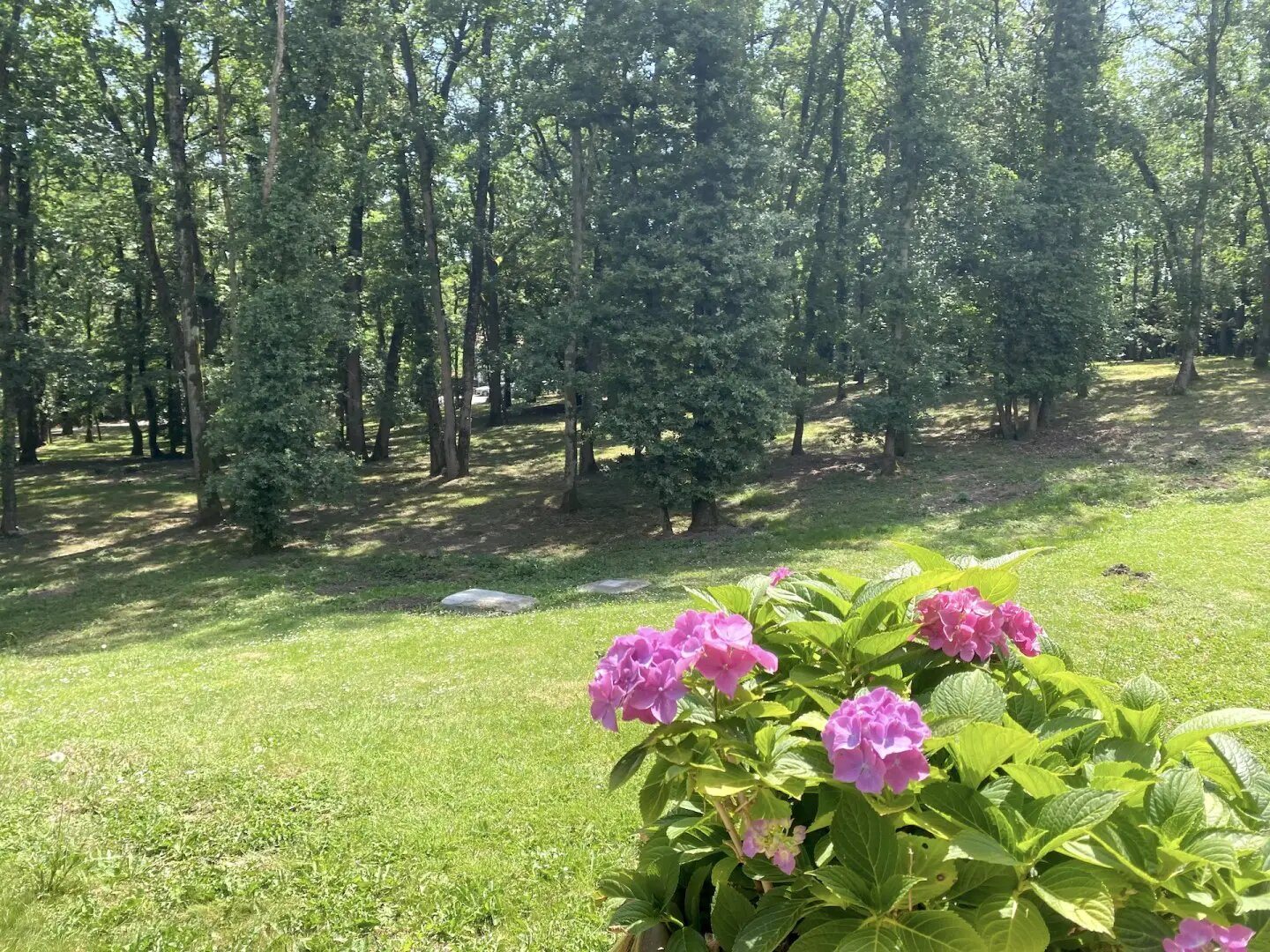 Maison à vendre, 405m², Toulouse