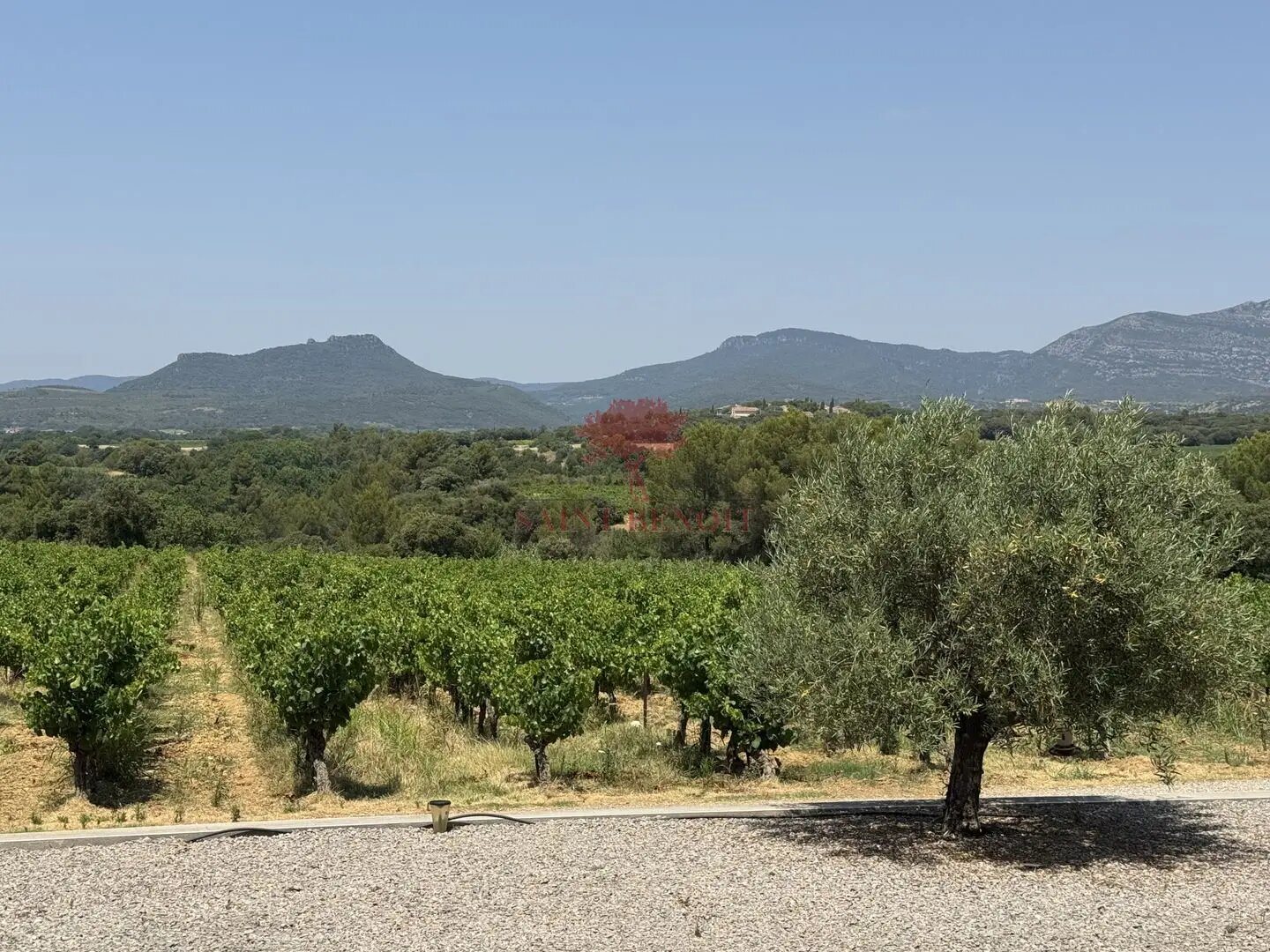 Maison à vendre, 170m², Montpeyroux