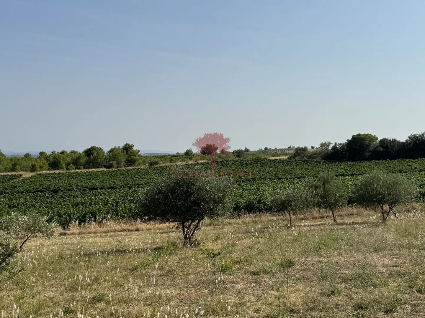Maison à vendre, 340m², Saint-Chinian