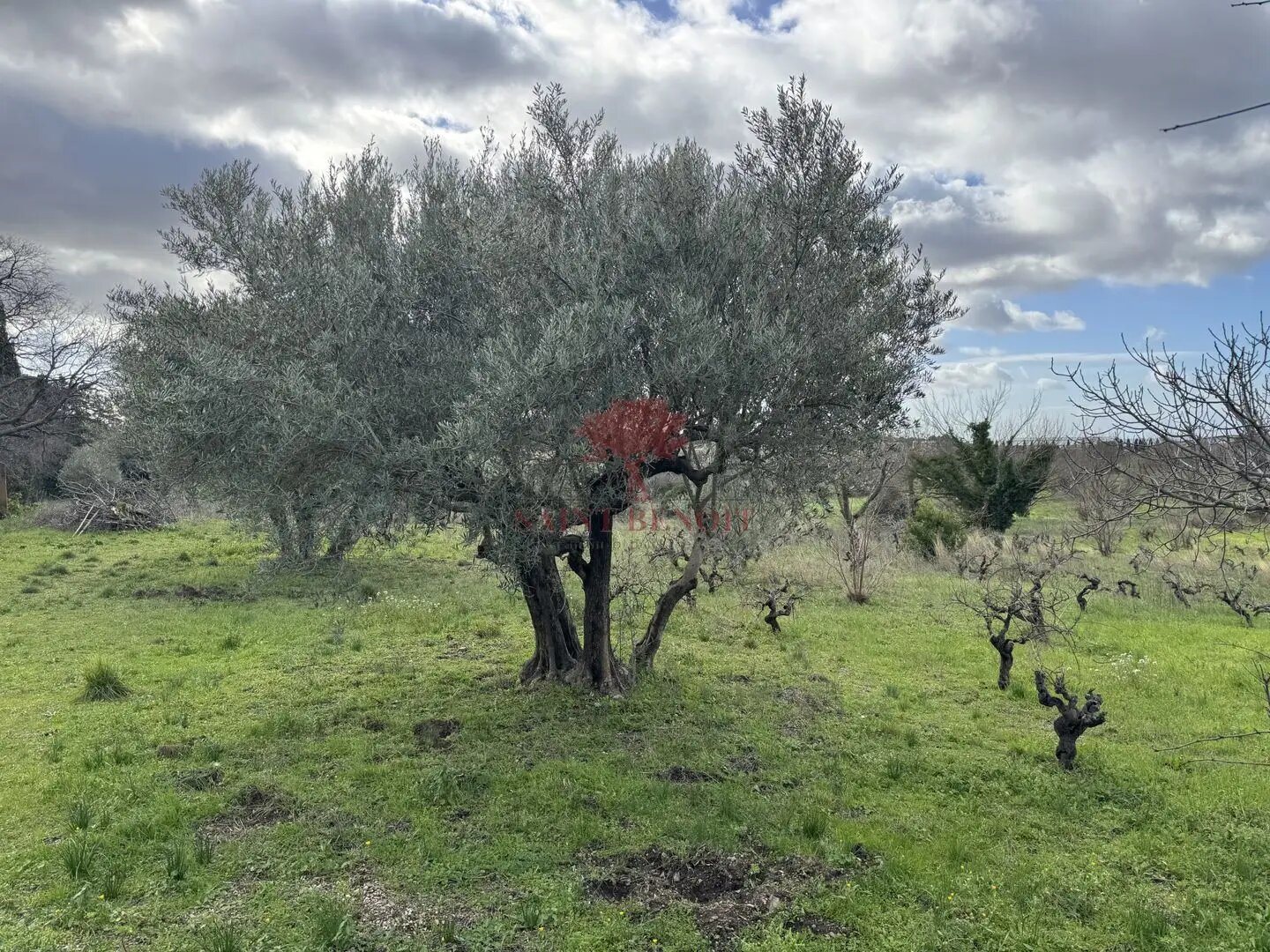 Maison à vendre, 374m², Montpeyroux