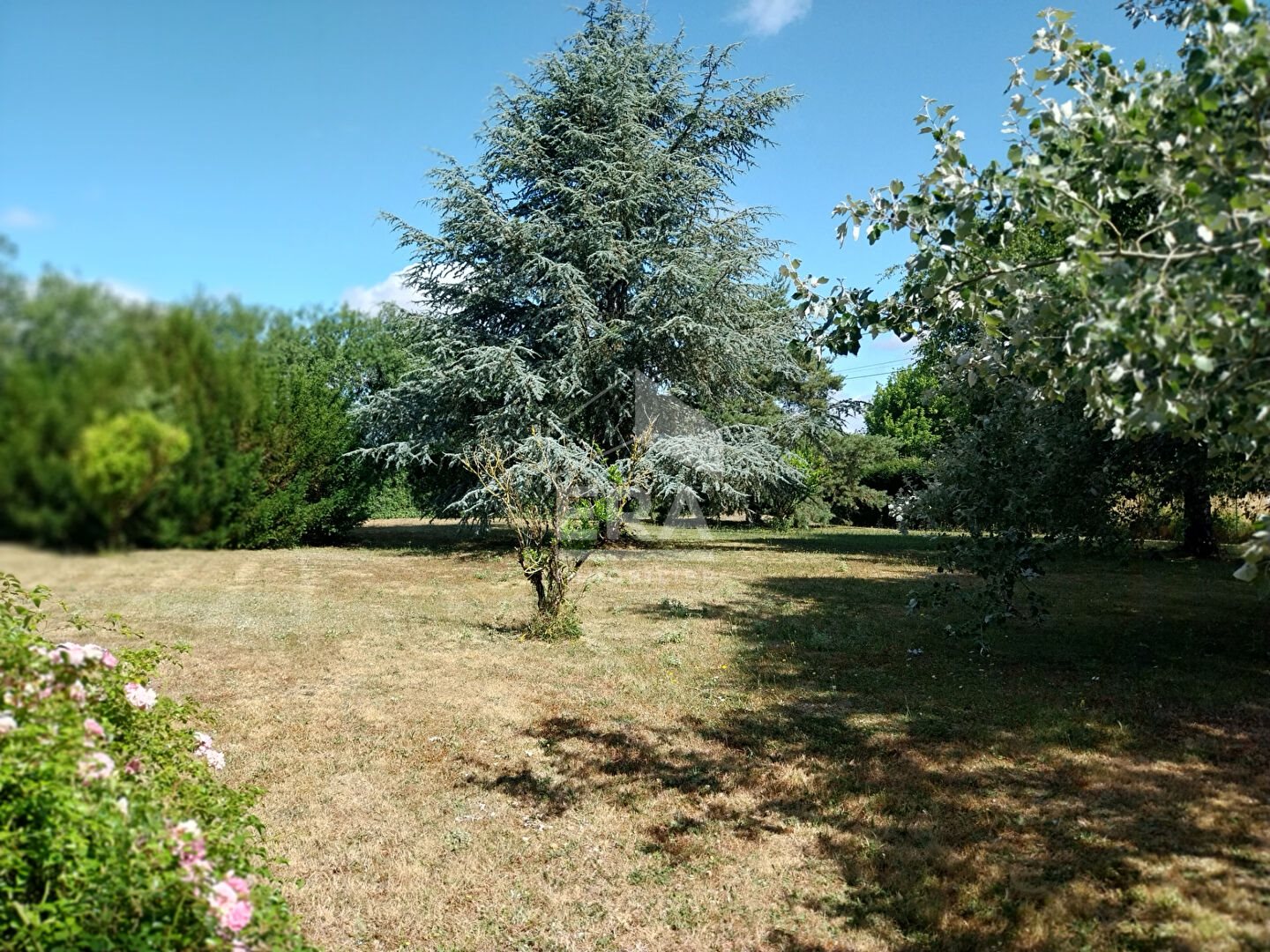 Maison à vendre, 180m², Avrillé-les-Ponceaux
