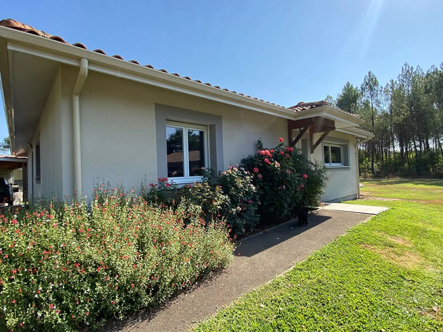 Maison à vendre, 120m², Pissos