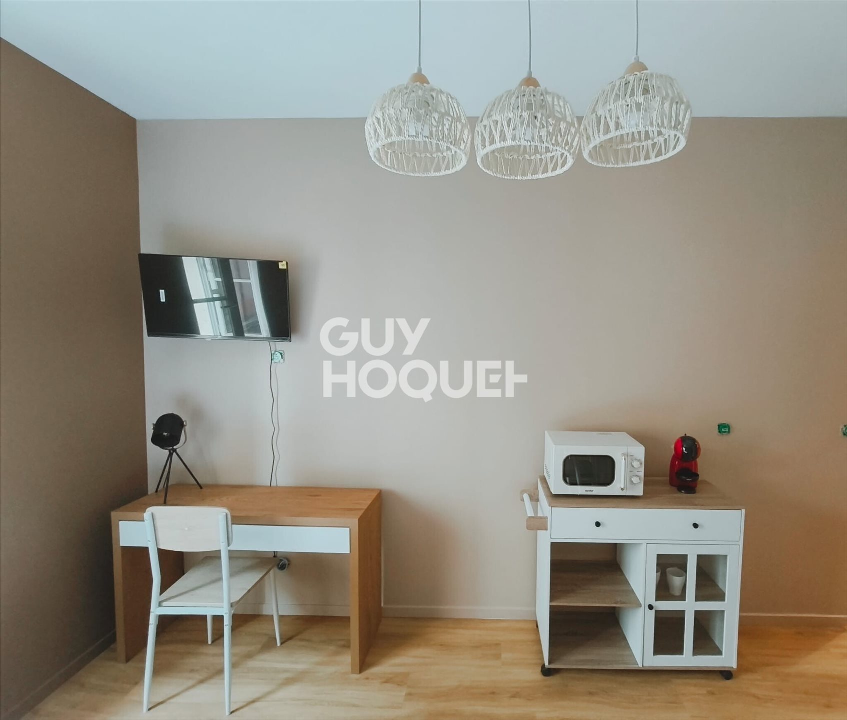 Appartement à louer, 19m², Villeurbanne