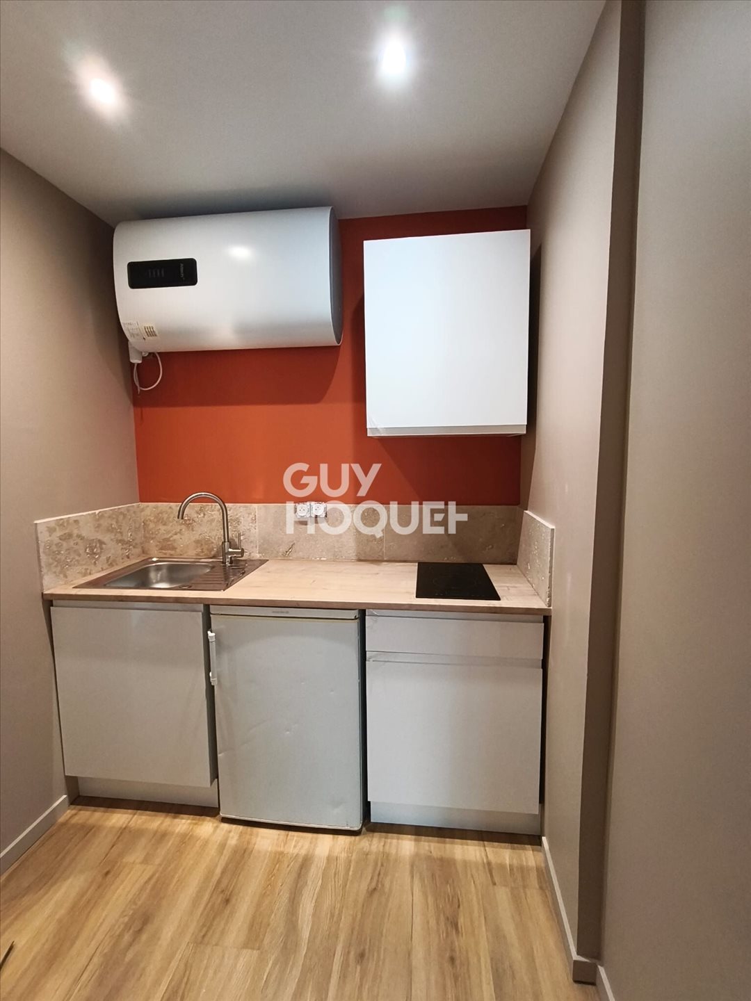 Appartement à louer, 19m², Villeurbanne