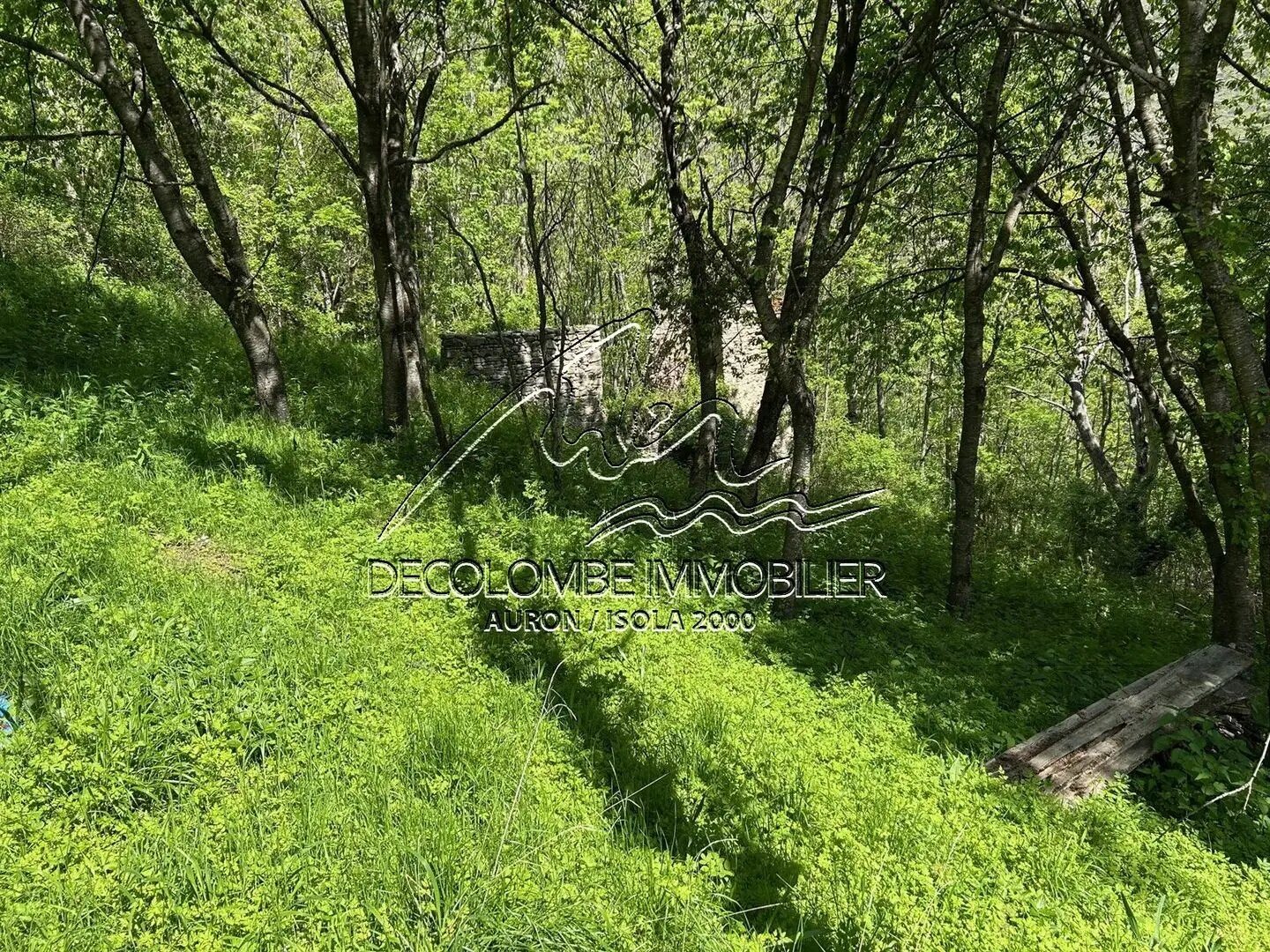 Maison à vendre, 45m², Isola