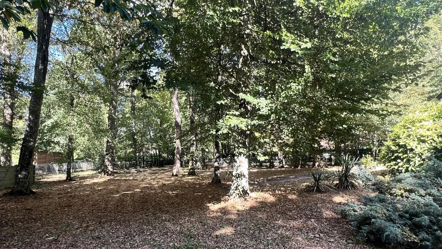 Maison à vendre, 100m², Abondant