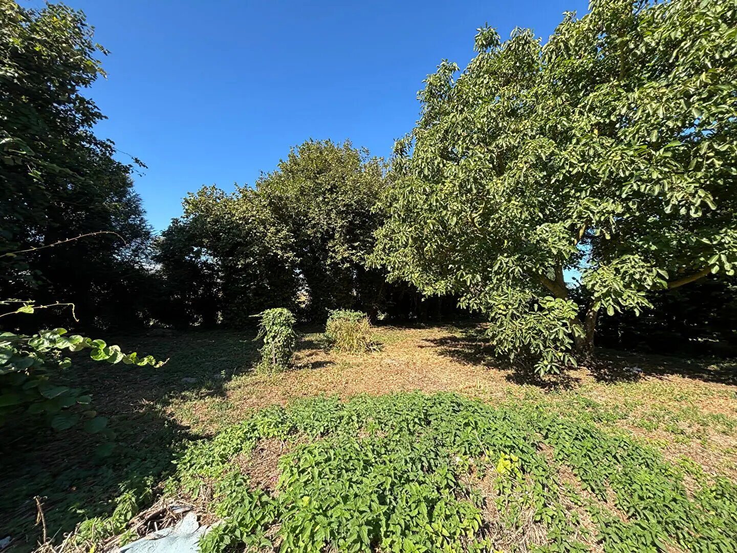 Maison à vendre, 163m², Saint-Méloir-des-Ondes