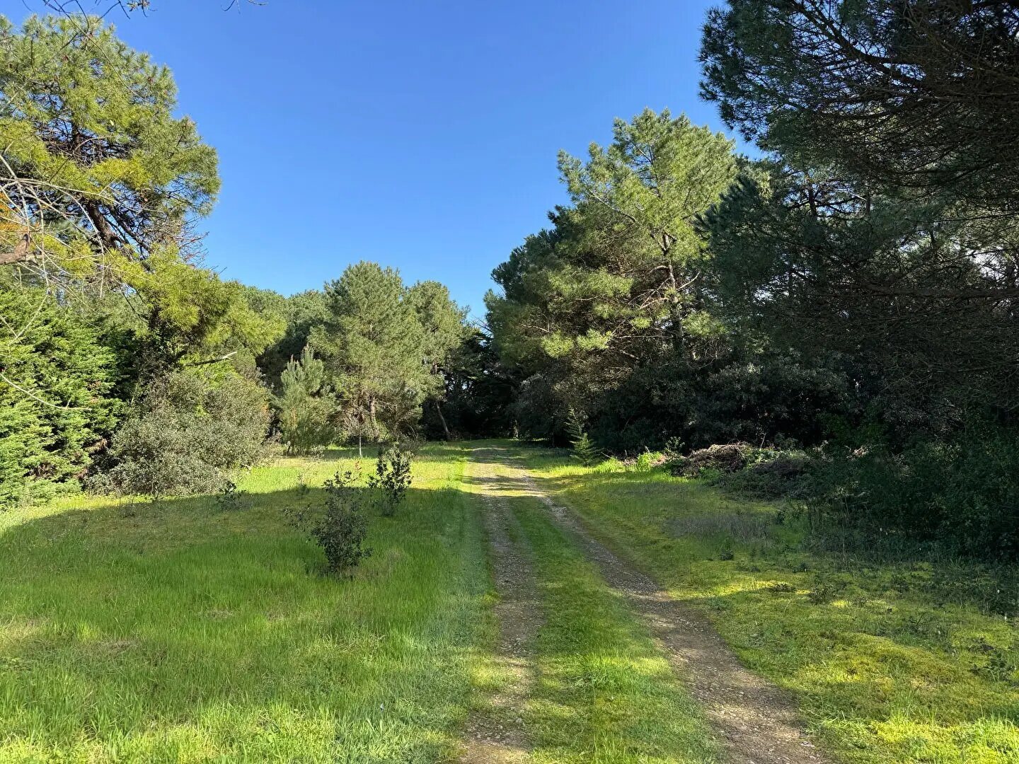 Maison à vendre, 163m², La Flotte