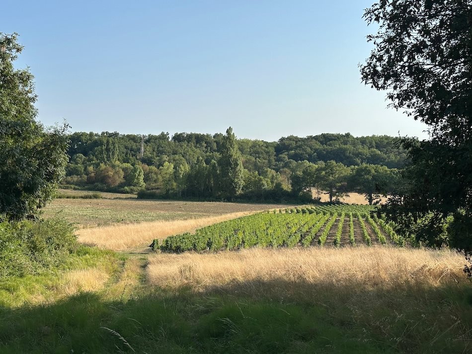 Maison à vendre, 191m², Puisseguin
