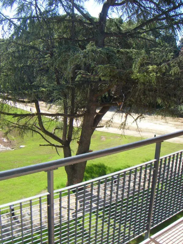 Appartement à louer, 39m², Béziers