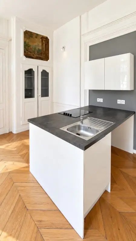 Appartement à louer, 93m², Lille