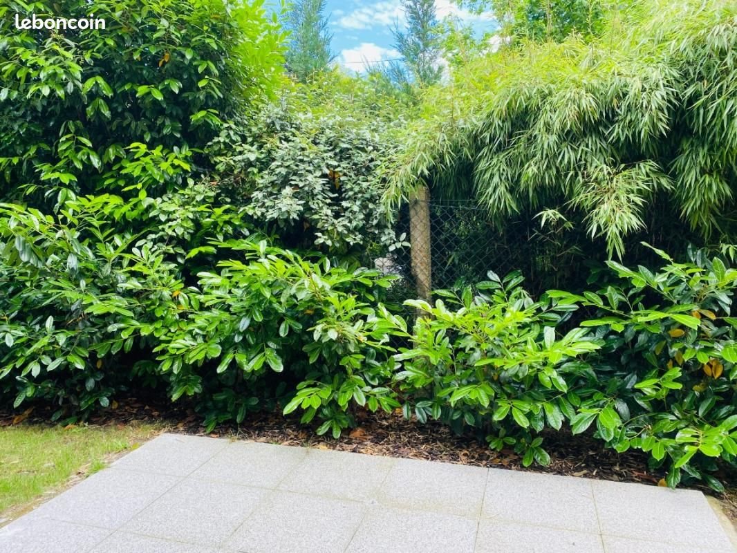 Appartement à louer, 40m², La Wantzenau