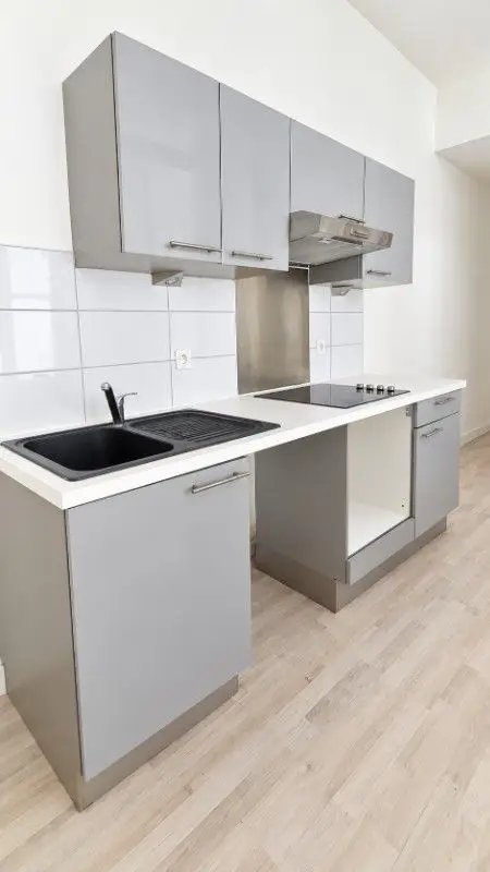 Appartement à louer, 39m², Lille