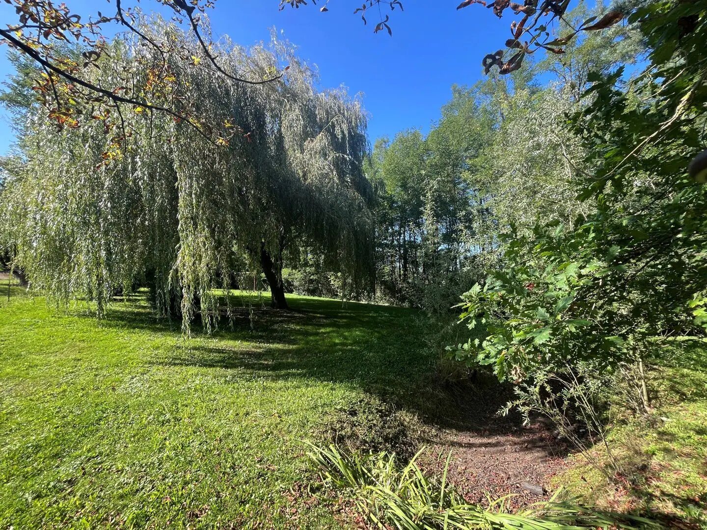 Maison à vendre, 167m², Sornay