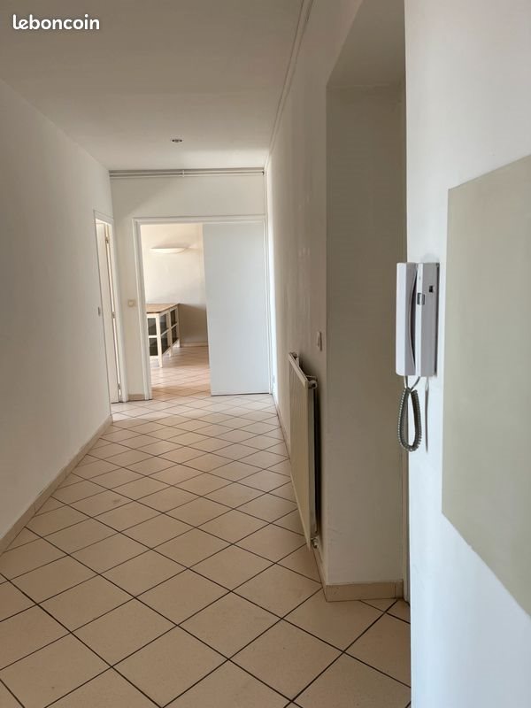 Appartement à louer, 99m², Lyon 1er