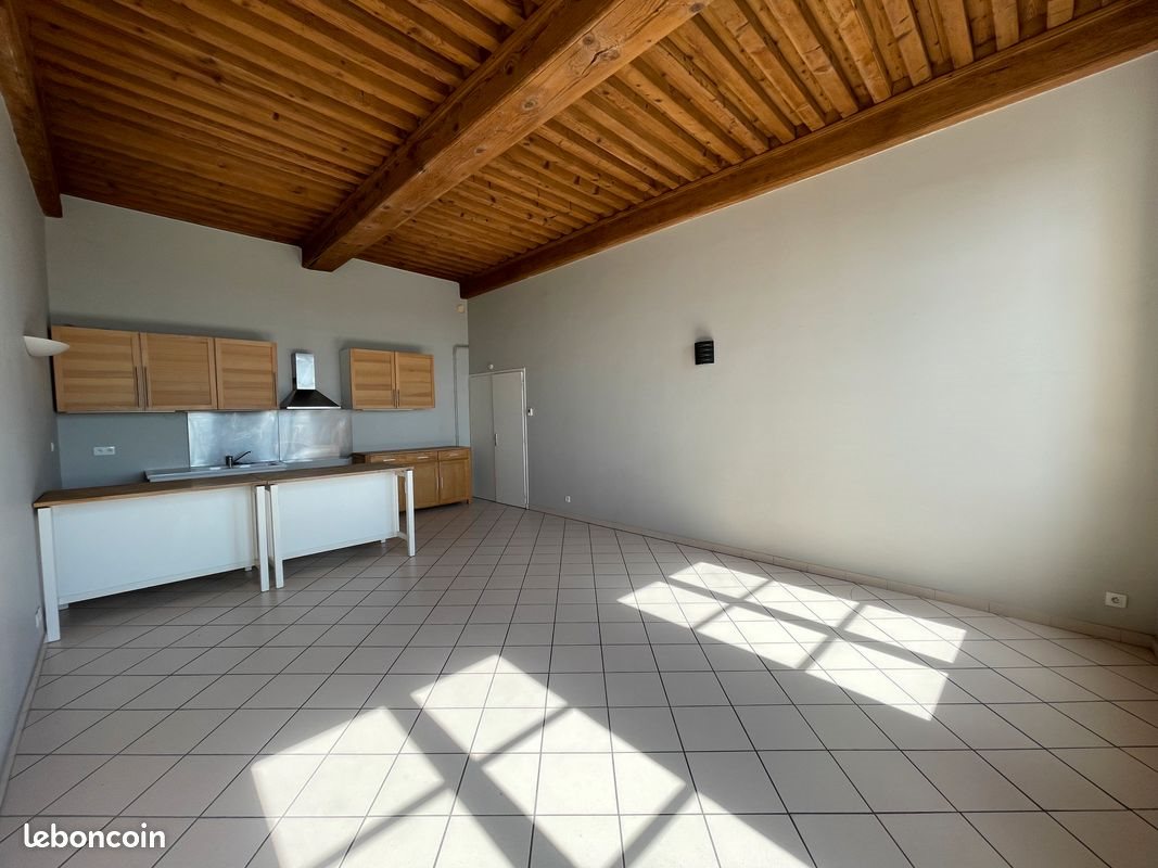 Appartement à louer, 99m², Lyon 1er